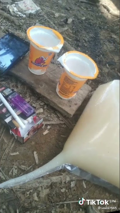apa itu boba?