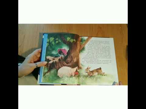 Звёздная коллекция самых красивых сказок (ил. П. Дюран) Звёздная коллекция самых красивых сказок (ил. П. Дюран)