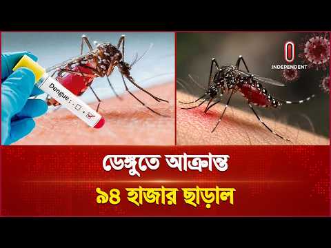 খুলনায় এডিস নিধন কার্যক্রম কোন পর্যায়ে আছে? | Khulna | Independent TV