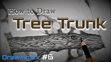How to Draw Wooden Texture- Tree Trunk - Drawing Ex. #6