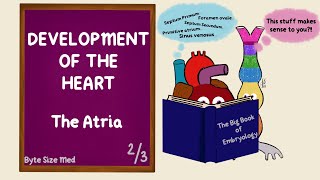 Development of the Atria | Atrial Septum | Development of the Heart | Part 2/3 | Cardiac Embryology screenshot 2