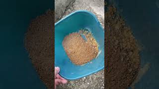 Một buổi đi câu test mồi cho anh em. #cauca #fishing #tudocau