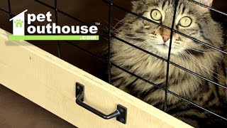 PET OUTHOUSE | an elegant solution to an everyday problem