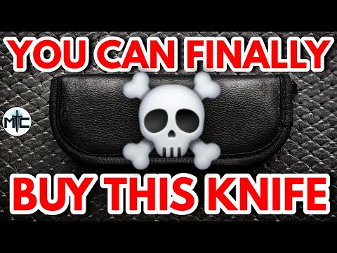 This Knife Is Going To Make A LOT Of People Happy!