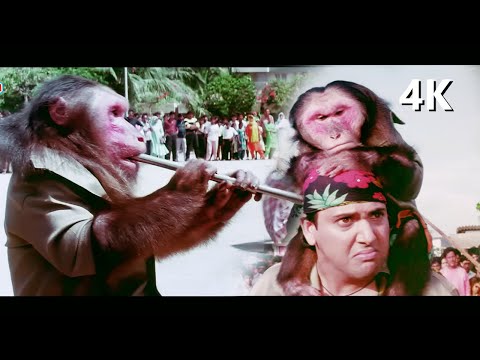 Aankhen Movie 4K Song | Bade Kaam Ka Bandar | Govinda & Chunky Pandey 90s Hits | Kumar Sanu Hits