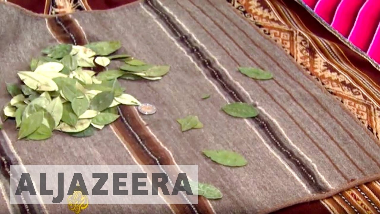 هل يستطيع المعالجون التقليديون المساعدة في مكافحة وباء السكري في بوليفيا؟