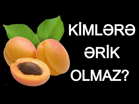 Video: Ərik Sarısı Xəstəliyi: Ərik Fitoplazmasının Səbəbləri və Nəzarəti Haqqında məlumat əldə edin