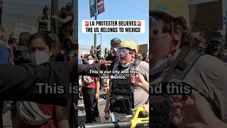 Nick Shirley alleges: LA Protester Believes the US Belongs to Mexico