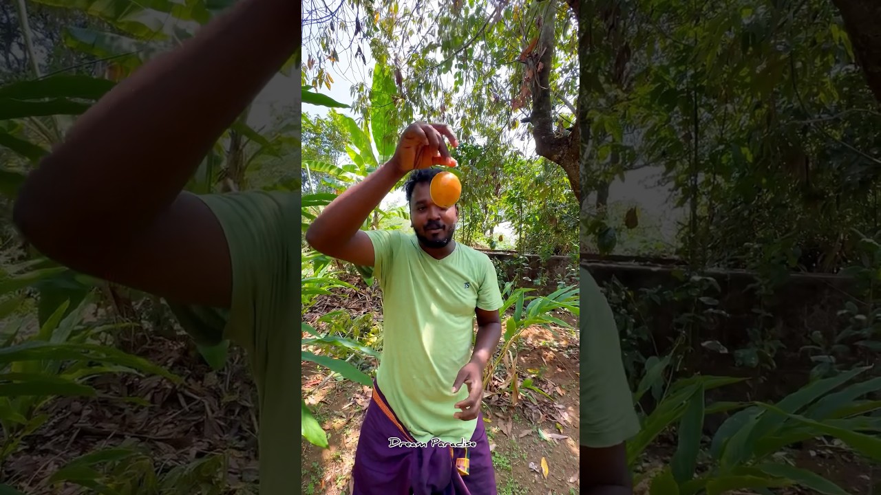 Fashion fruit ￼Alaparaigal in my home with jungaaa team  #adventure #Fashionfruit #munnar #nature