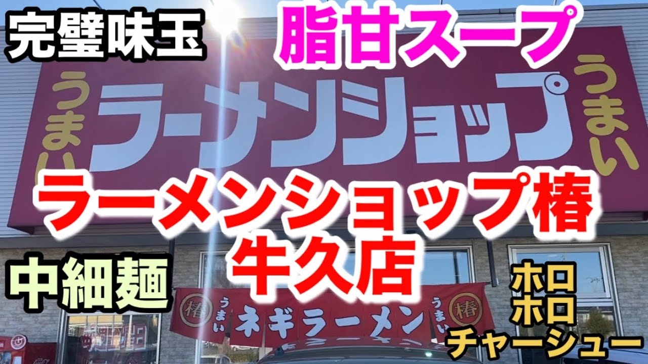 脂甘スープ 完璧 味玉 ホロホロ チャーシュー が ヤバイ! 【 ラーメン ショップ 椿 牛久店 】 茨城県 牛久市 グルメ ランキング ラーショ 美味しい うまい 行列 人気 茨城 ネギチャーシュー