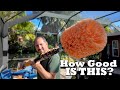 Safe and easy high reach cleaning for your home Review | TALL REACH | Reviews Unscripted