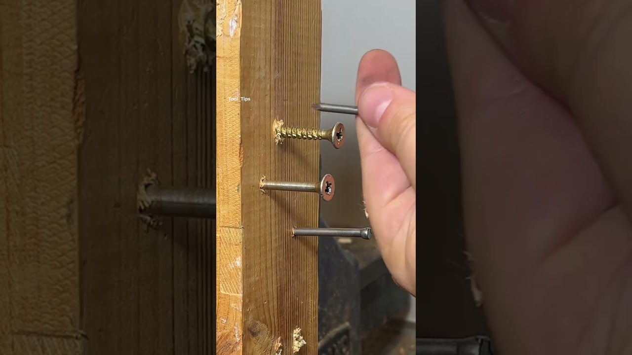 Screw Or Nail Shorts