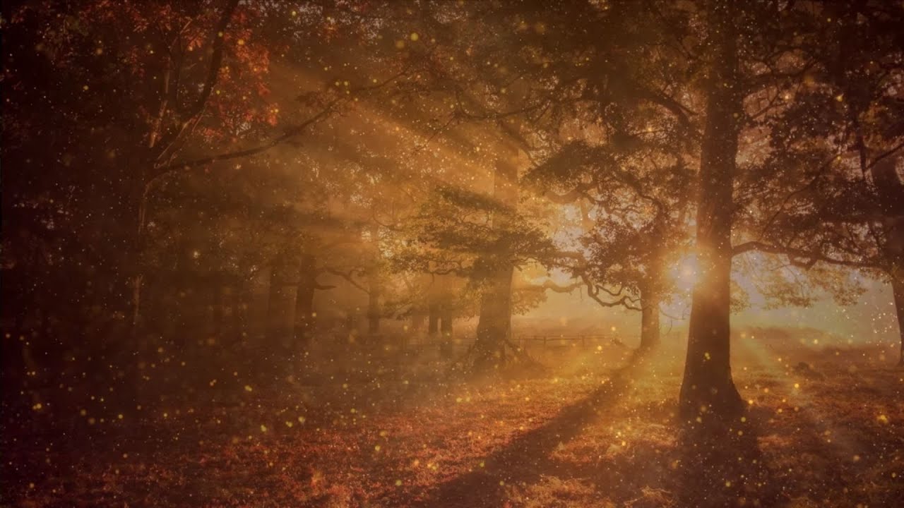 Musique d'ambiance détente automnale - YouTube