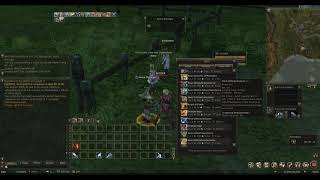 Bug Reset skill Othell Wind Rider EternalWars