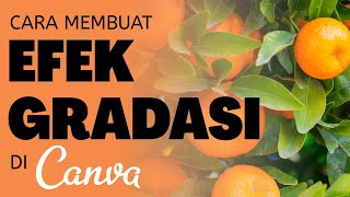 How to create a gradient effect in Canva web and app | how to create gradient in canva