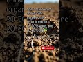 Soil is made up of about 45% minerals, 5% organic matter, 20-30% water, and 20-30% air 🪴.#soil #yt