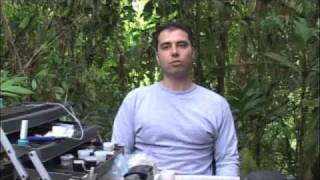 Rainforest interview