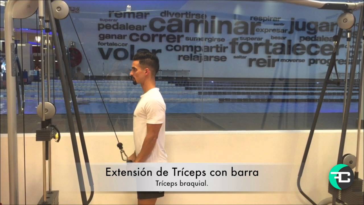 Extensión de Tríceps con barra YouTube