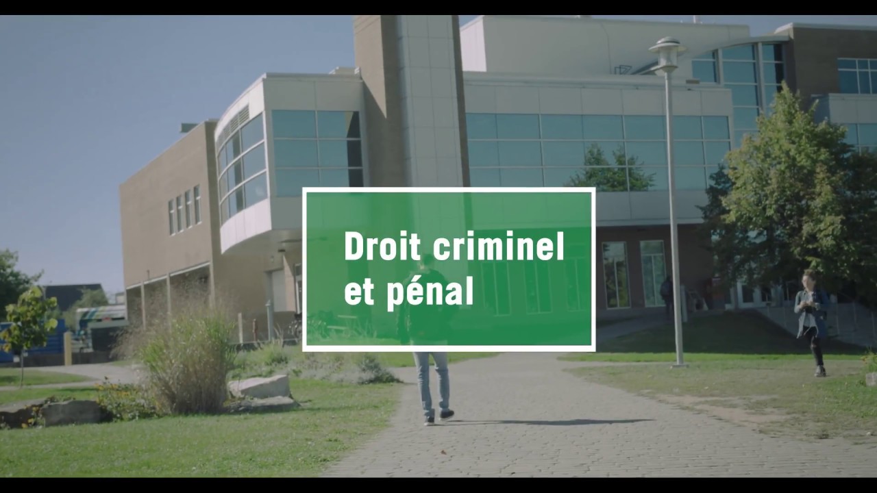 Pratique Du Droit Criminel Et Pénal Dcp Faculté De Droit - 