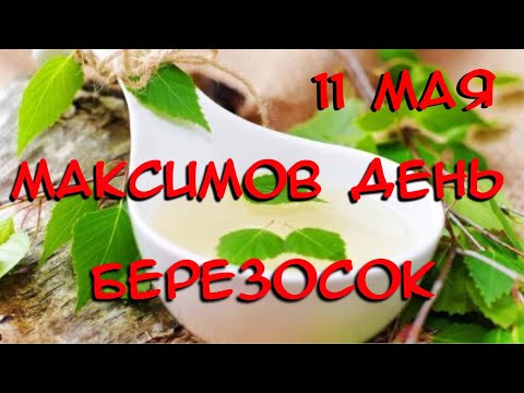 Максимов День. Березосок