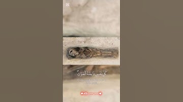 كل نفس ذائقة الموت ثم إلينا ترجعون #القارئ #ياسر_الدوسري #سورة_العنكبوت