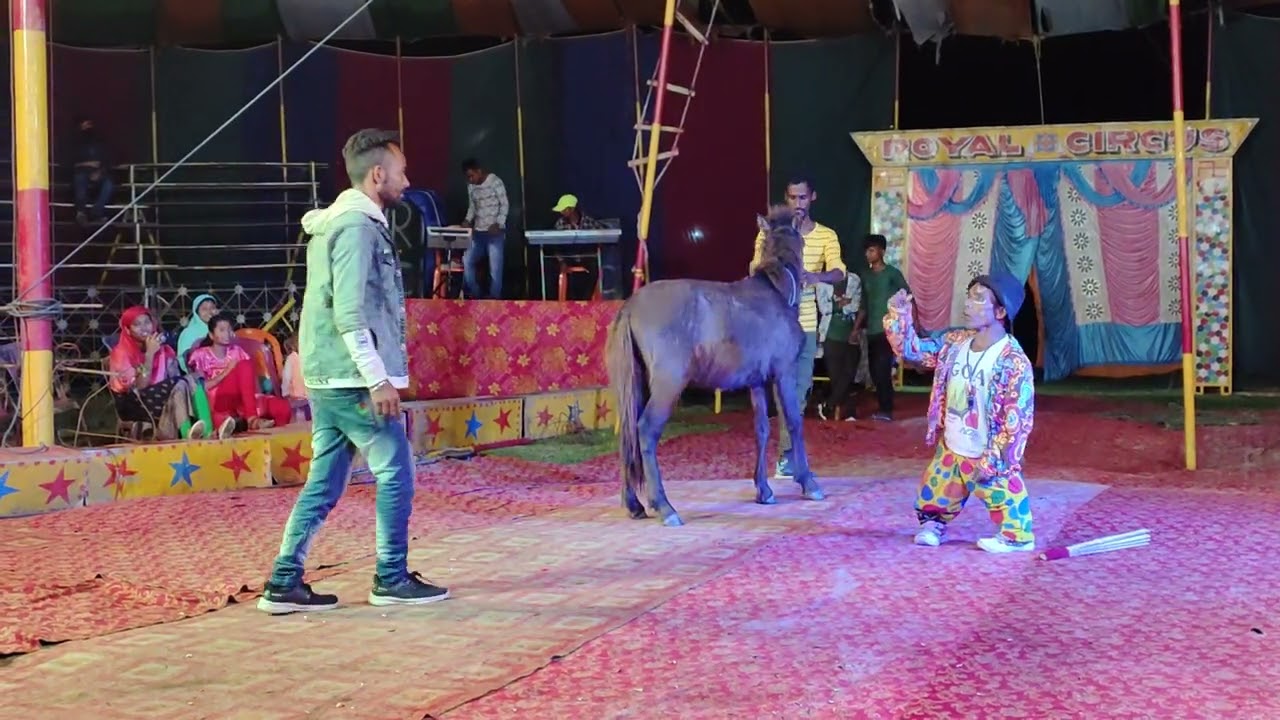 Lattu & Horse Dead Acting With Joker Royal Circus 2022 Dolmela