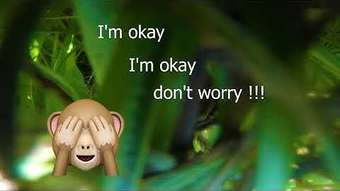 Drone Crush from 320m, Betaflight failsafe not working