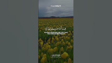 تلاوه الشيخ عبدالولي الأركاني ، أواخر سورة النازعات