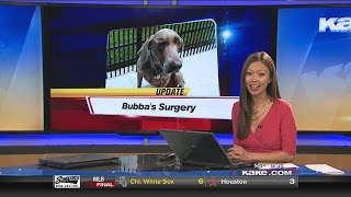 UPDATE: Bubba Recovering From Surgery