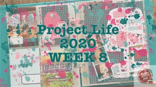 Project Life Process 2020 | Week 8