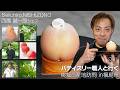 【食材探し旅!】桃畑から一皿になるまで。西園誠一郎シェフが見つけた福島の桃の魅力!