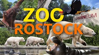 Zoo Rostock - Einer der besten Zoos Europas? | Zoo-Eindruck