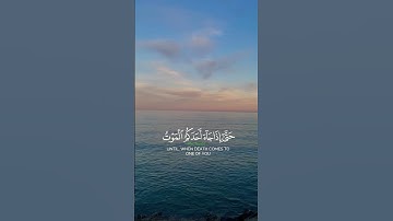 وَهُوَ الْقَاهِرُ فَوْقَ عِبَادِهِ ۚ #سورة_الأنعام