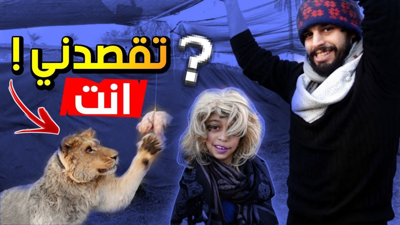 تدريب الاسد على القفز 😱 ومقابلة مع ام فهد 😂 اشبع ضحك #عمار_ماهر