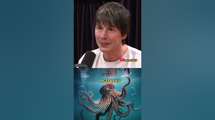 Are Octopuses Alien Creatures? Brian Cox Reveals Mind-Blowing Theory
