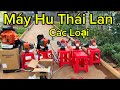 Tổng hợp các loại máy phát cỏ Hus Thái Lan Chính Hãng.