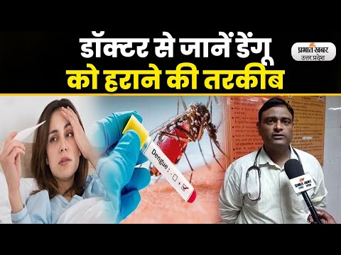 Dengue Fever : जीवनशैली में छोटे - छोटे बदलाव से डेंगू मच्छर को दें मात lPrabhat Khabar UP