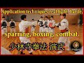 Application techniques real fight, randori, battle sparring, boxing, combat. 少林寺拳法 実戦 動画. 少林寺拳法 実戦.