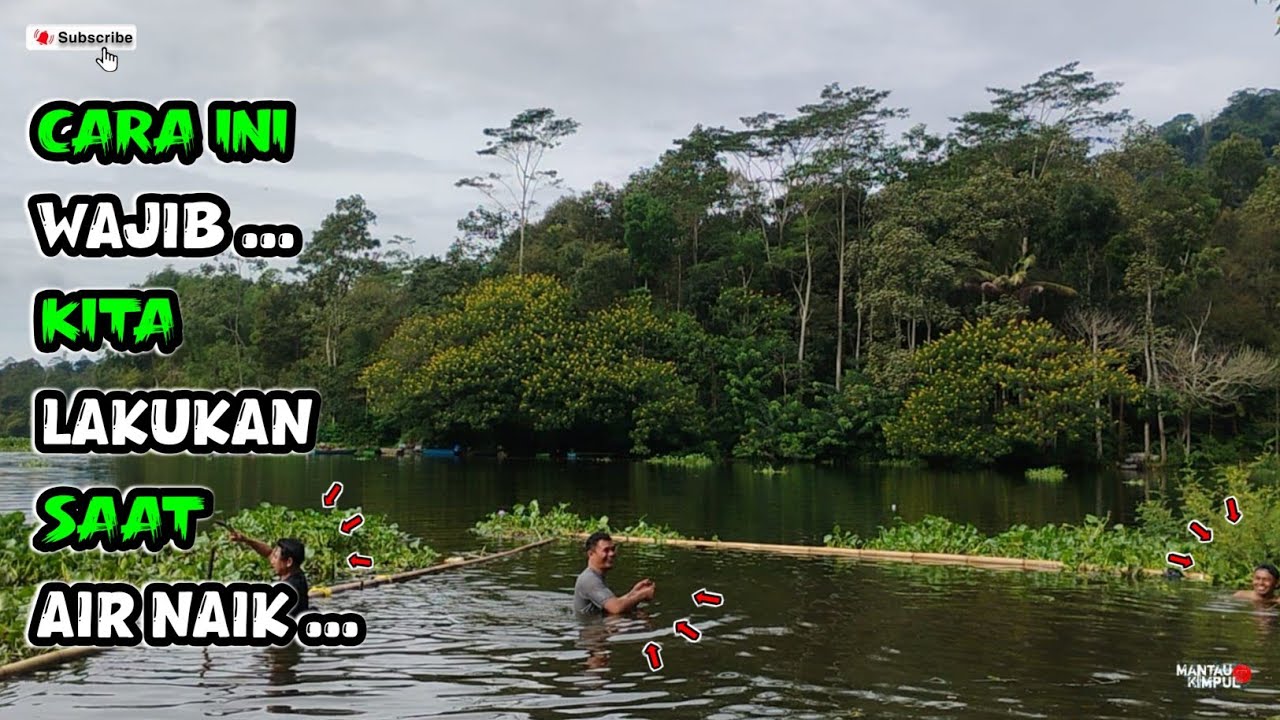 Sebelum Mancing Wajib Kita Lakukan Cara Ini | Mancing Ikan Nila Liar Ngantang Terbaru 