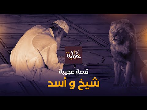 شيخ وأسد