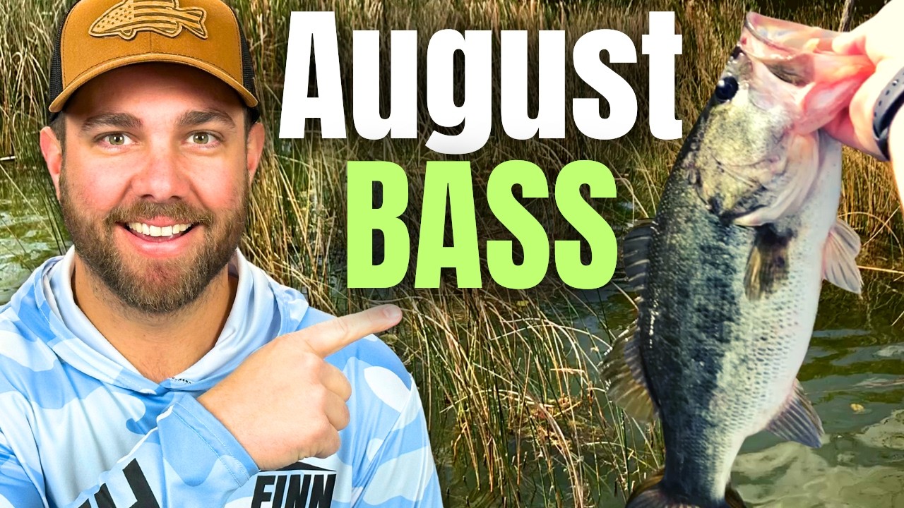 1 Simple TRICK For More AUGUST Bass