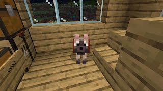 Minecraft, Episode 9 [finding help]