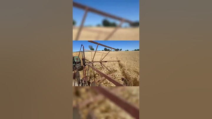 Travail à l’ancienne : moissonneuse lieuse en action !