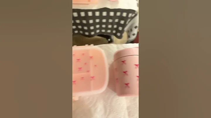 Paris Hilton Lunchbox and Thermos 🎀💗🇫🇷#parishilton #review #shorts