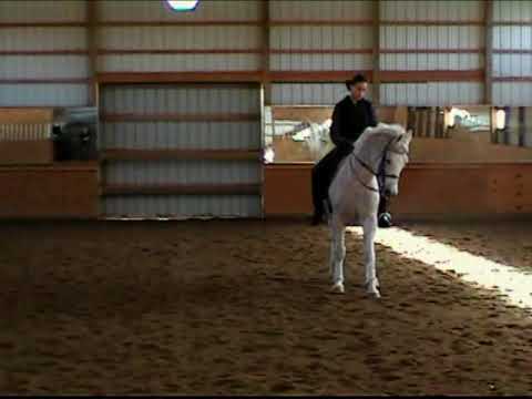Dressage training before and after with a junior r...