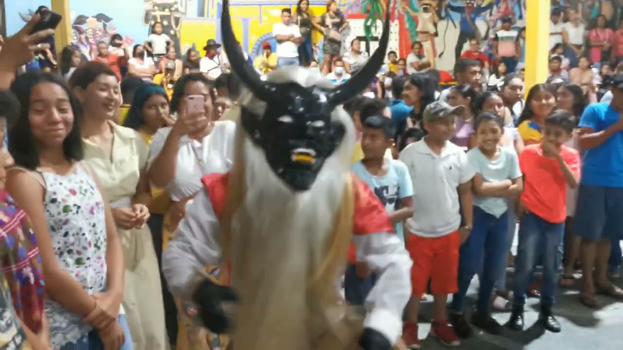 Danza de los Diablos I Celebración a San Nicolás de Tolentino en Ometepec 2022