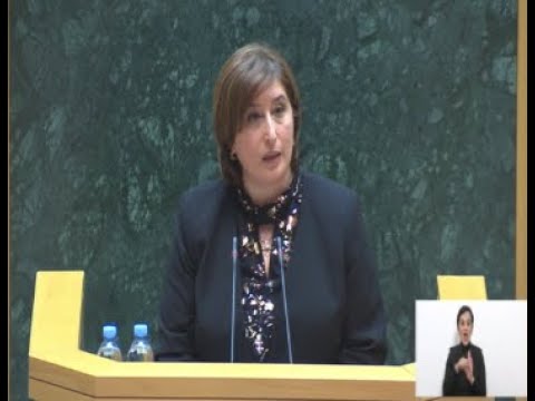 ჟვანიამ ერტპარტიულ პარლამენტს დეპუტატების უფლებამოსილების ცნობის დოკუმენტაცია წარუდგნა
