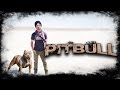 Diljit dosanjh  new song   pitbull  ft preet hundal  new punjabi songs   full