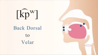 [ k͡pʷ ] unvoiced unaspirated labialized labial coarticulated back dorsal velar stop