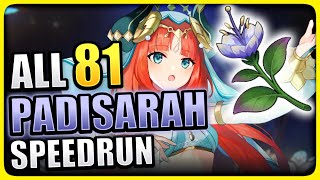 ALL 81 Padisarah Locations EFFICIENT & FAST ROUTE Genshin Impact Nilou Ascension Material